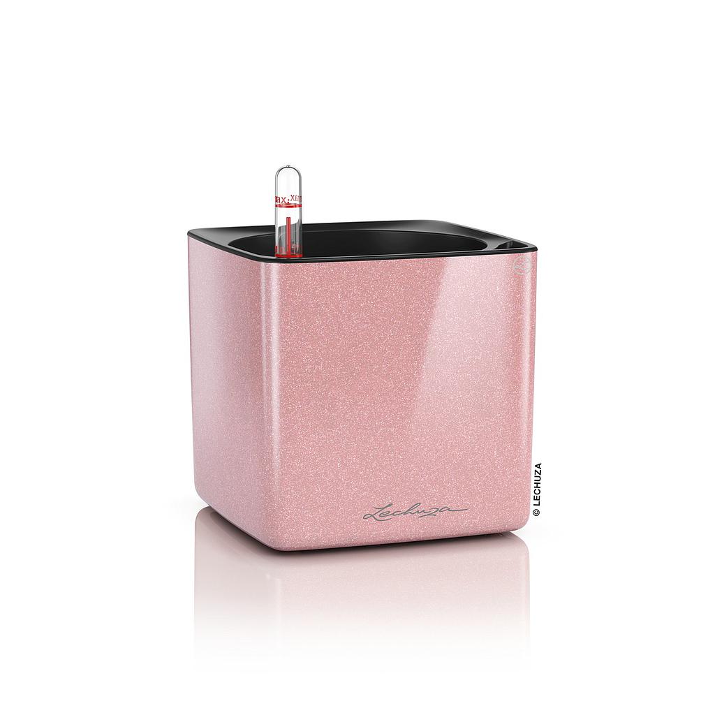[13515] Lechuza CUBE  Glossy Kiss 14 all in one