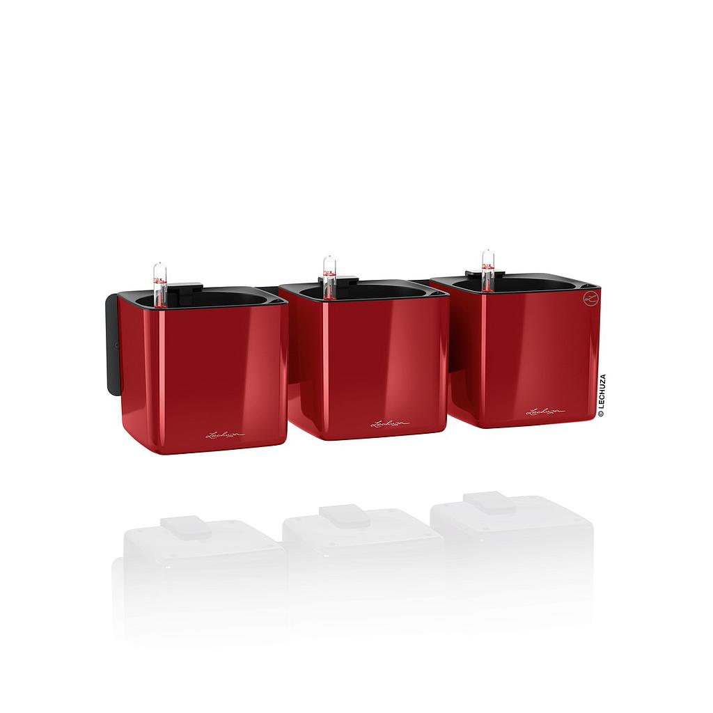 [L-13525] Lechuza CUBE Glossy Green Wall Home Kit scarlet rot highgloss