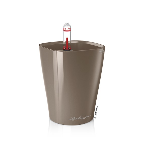 [L-14959] Lechuza MINI-DELTINI taupe hochglanz