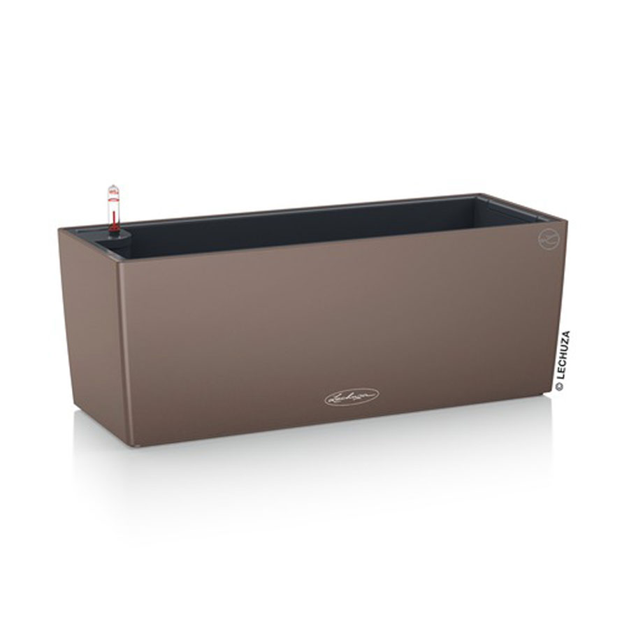 [L-15674] Lechuza BALCONERA Color 50 muskat