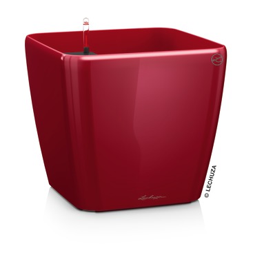 [16127] Lechuza Premium Collection QUADRO LS 21 all in one scarlet rot hochglanz