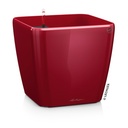 Lechuza QUADRO Premium LS 21 scarlet rot hochglanz