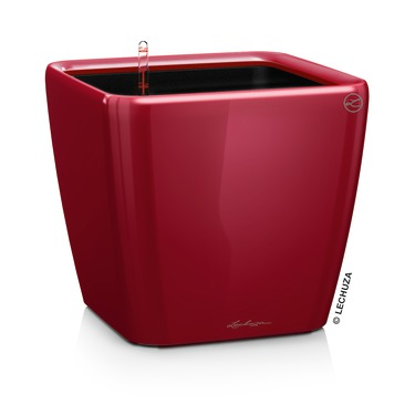 Lechuza QUADRO Premium LS 35 scarlet rot hochglanz