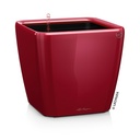 Lechuza QUADRO Premium LS 43 scarlet rot hochglanz