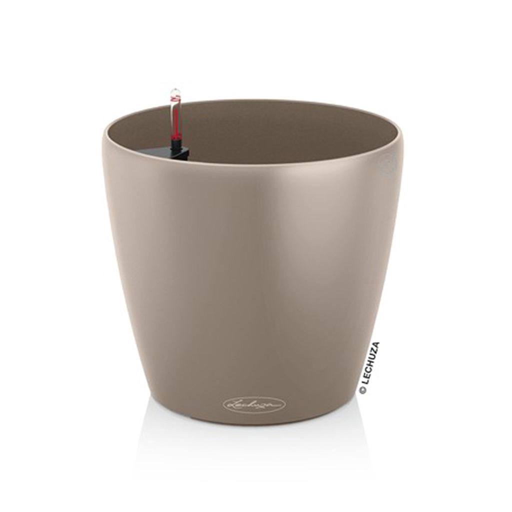 Lechuza CLASSICO Color 28 sandbraun