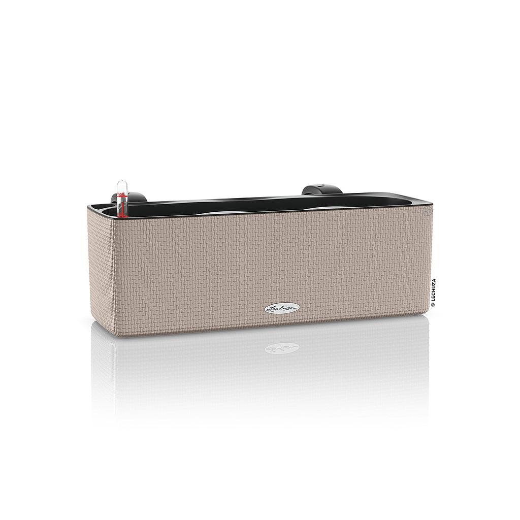 Lechuza CUBE Color Triple sandbraun