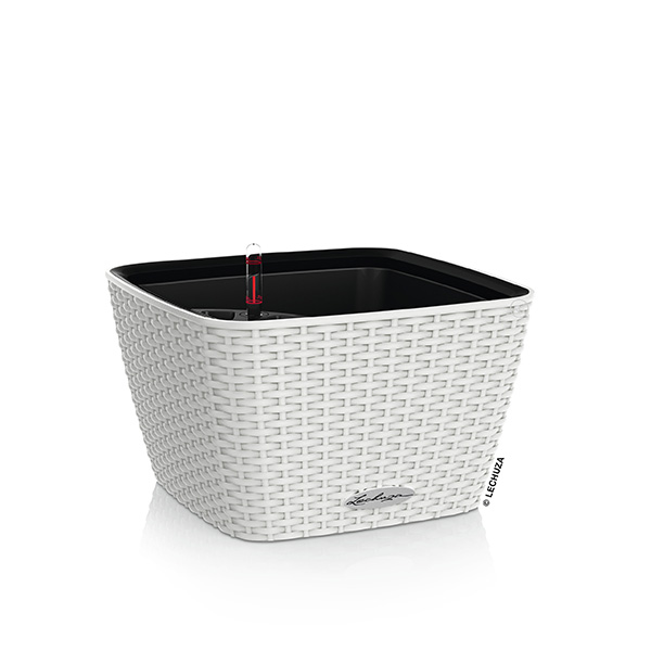 [L-15450] Lechuza BACINO Cottage weiss