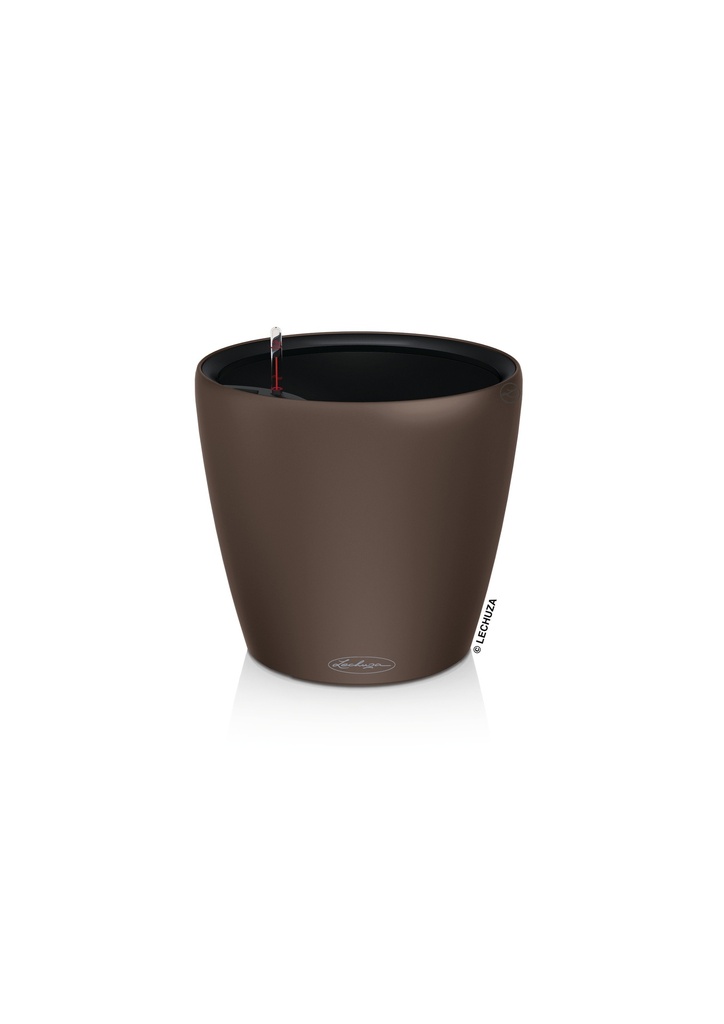 Lechuza CLASSICO Color LS 43 muskat
