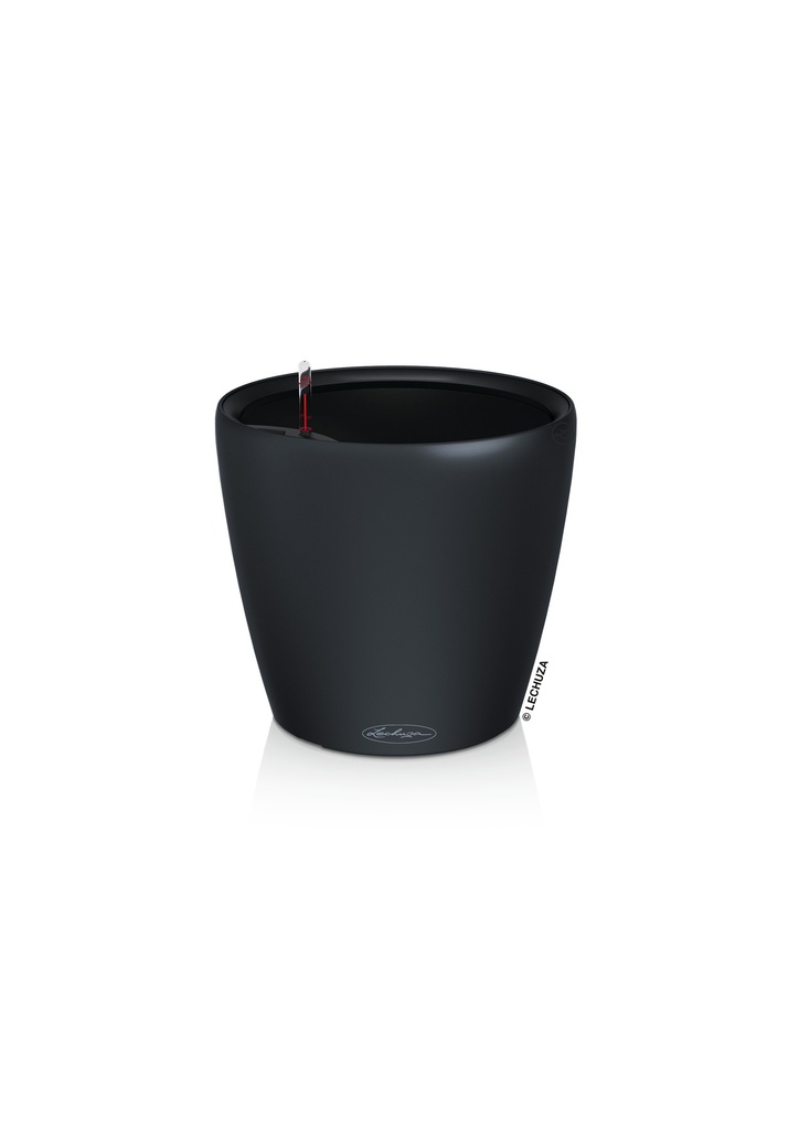 Lechuza CLASSICO Color LS 43 schiefergrau