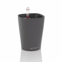 Lechuza MINI DELTINI  basaltgrau matt